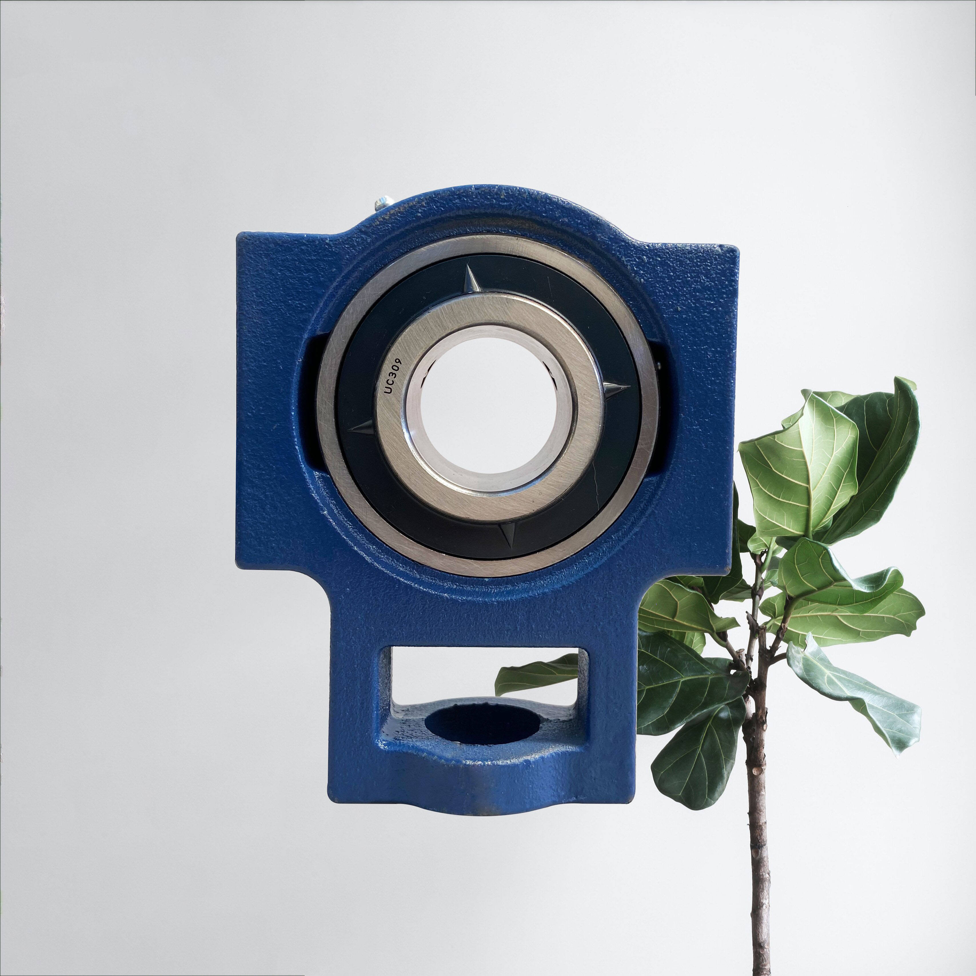 UCT 300 Pillow Block BearingS