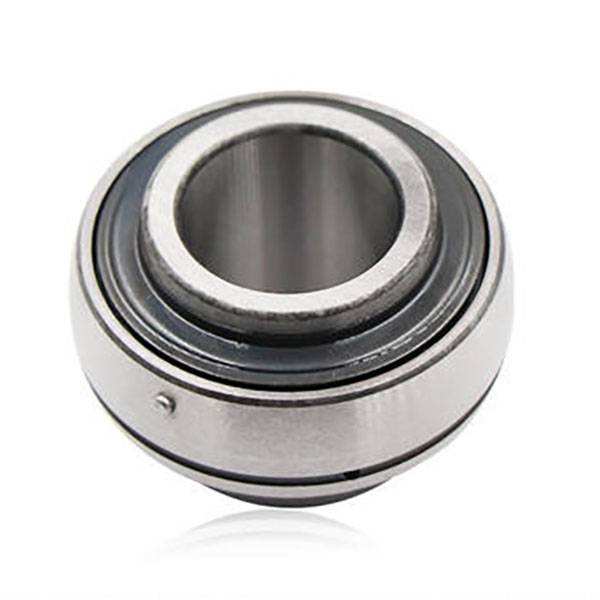 High Precision Free Sample Pillow Block Insert Ball Bearing