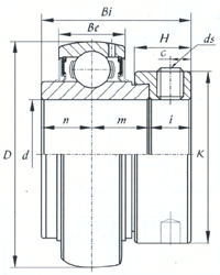 Na Series Insert Bearing