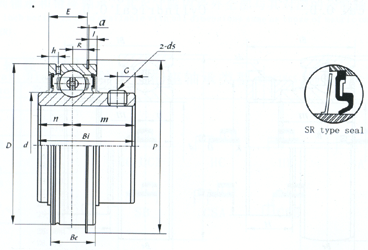 Ser206 Bearing Low Noise Free Sample