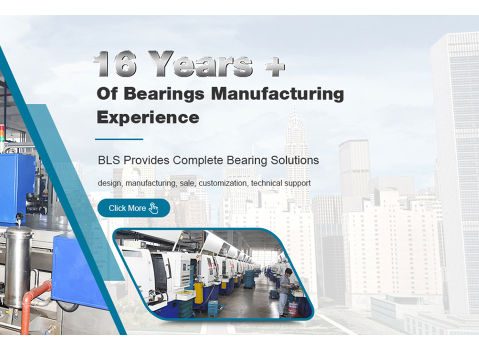 Wuxi BLS Mechanical Transmission Technology Co., Ltd.